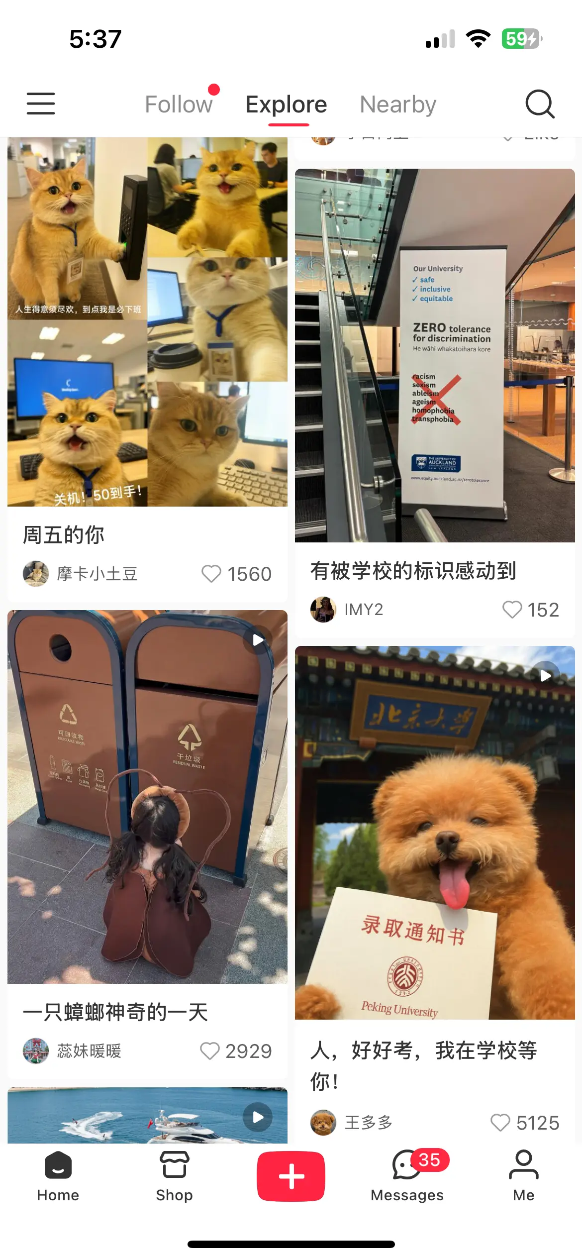 Xiaohongshu app showing a user's post